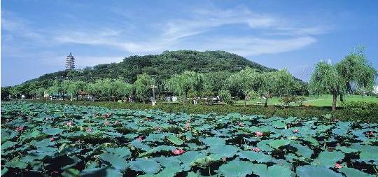 惬意镇海老城要建环城游步道