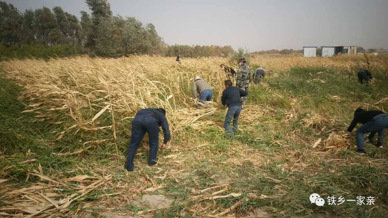 木佃村多少人口_怀化罗旧镇多少人口