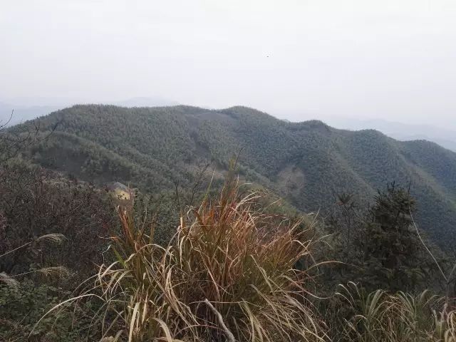 耒阳候憩仙雨中登顶太美妙了