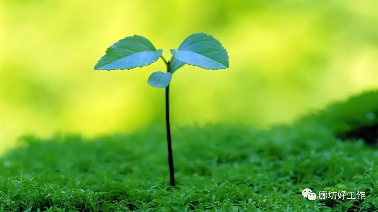 10月10日,招聘,招聘,招聘