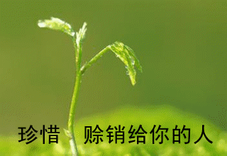发芽 绿色 绿色植物 嫩芽 嫩叶 新芽 植物 桌面 320_220 gif 动态图