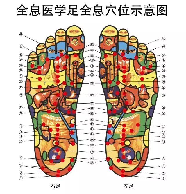 步多健全息医学小课堂推荐·合谷穴取穴:位于手部虎口上一寸.