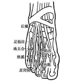 侠溪(gb 43) 荥穴 [定位]在足背,第4,5趾间,趾蹼缘后方赤白肉际处.