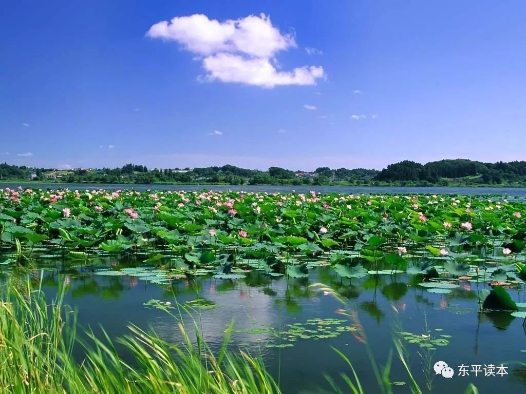 东平湖风景.