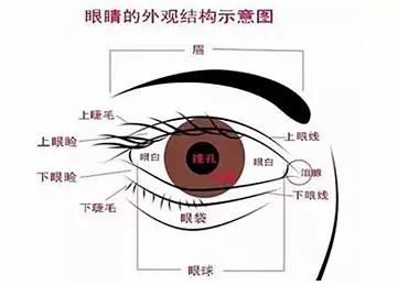 六舌耳人口_人口普查(2)