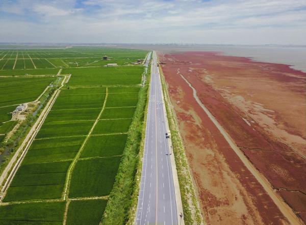 国务院批准盘锦市城市规划突出石油工业文化和滨水湿地景观