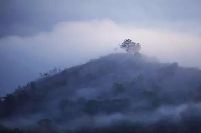 寒露朝饮花上露夜卧松下风