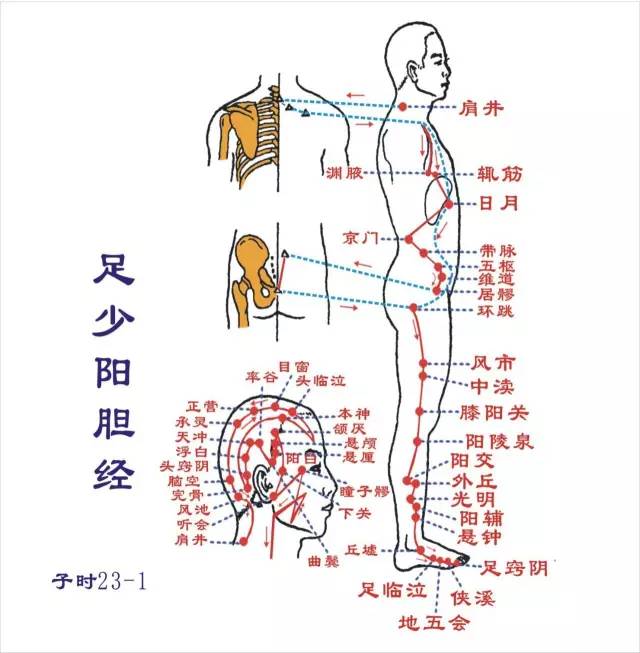 敲胆经是生阳气,补气血,扶正气的好方法