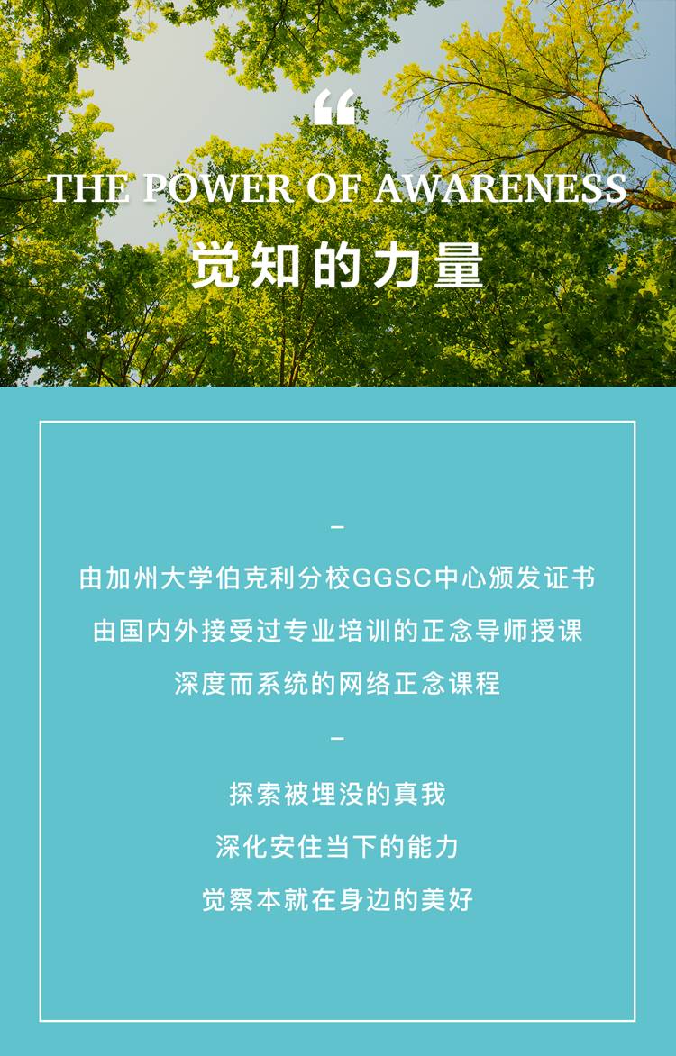 觉知的力量报名本年度最后一季课程正在招生