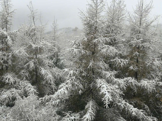 今天上午北京市区降雨持续,延庆海坨山和门头沟灵山则飘起了雪花