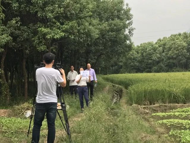 乡村大地短剧，展现乡土之美与人间真情