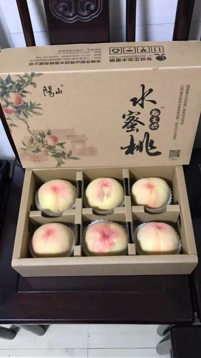 阳山水蜜桃品牌保护在行动