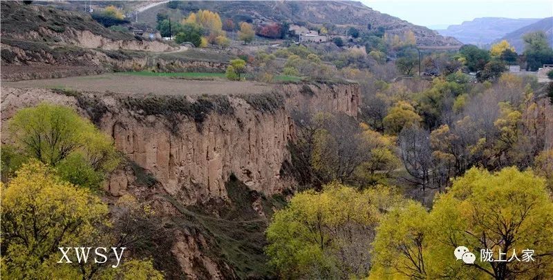 陇西县马河镇贺家川村,风光主要以黄土塬原生态村落风光为主,地貌独特