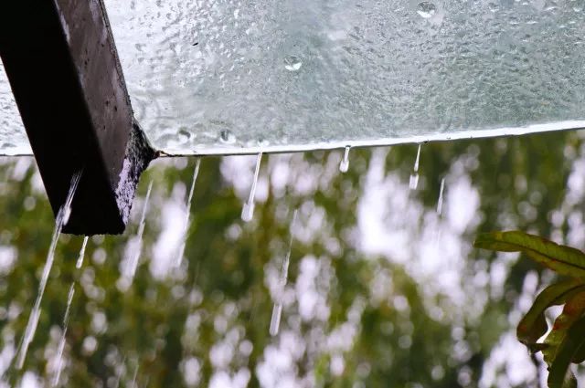 今天下了第一场秋雨,我觉得她格外的美,让我们一起来看看细雨朦胧的