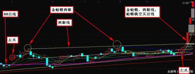 史上最高概率的上涨k线形态金蛤蟆岛型反转野马过河