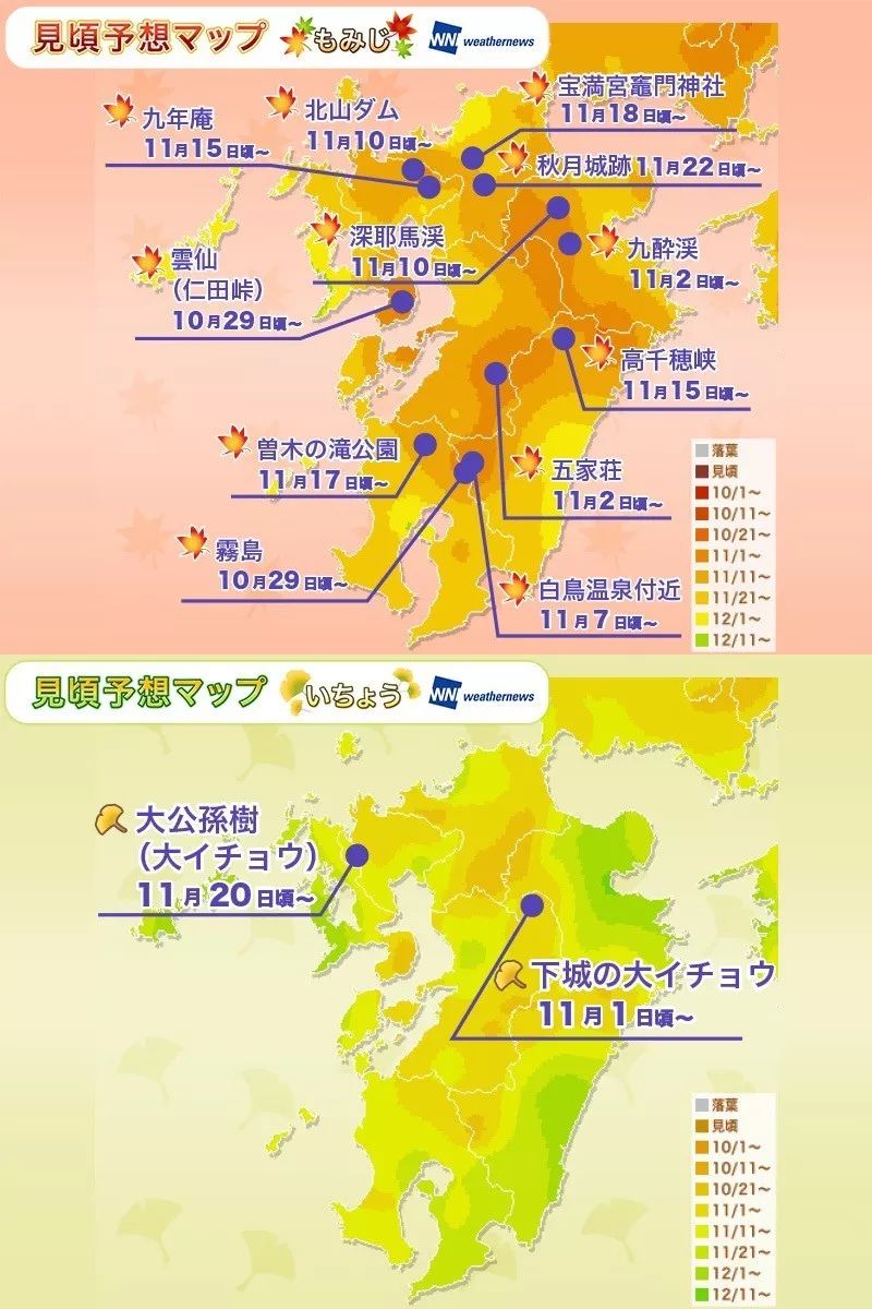 九州枫叶和银杏叶的预测