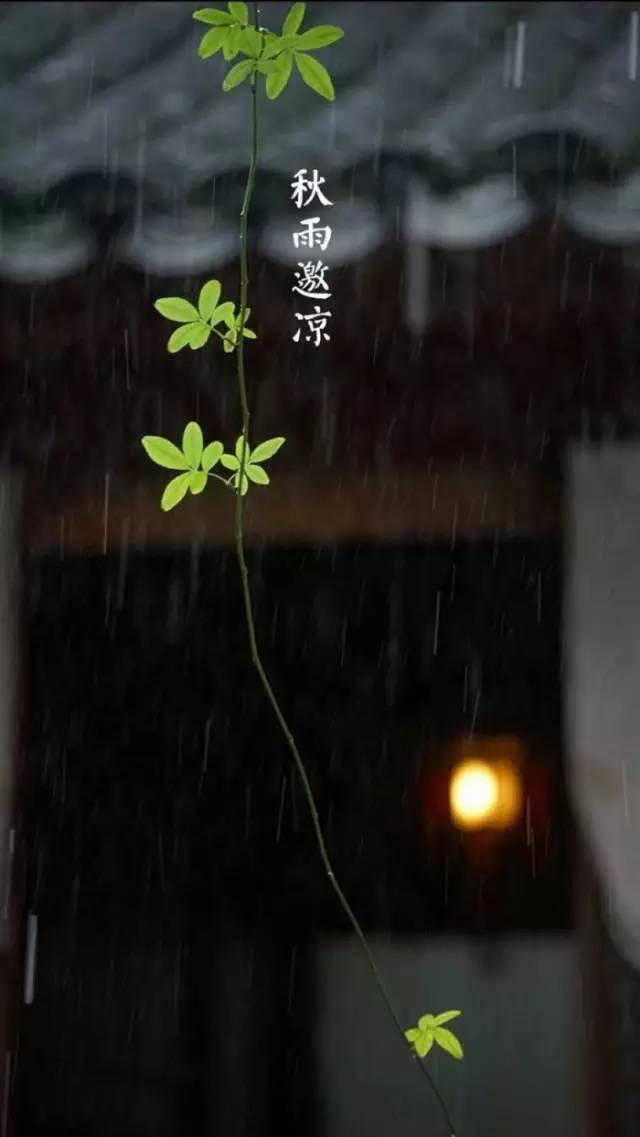 一场秋雨,一场寒