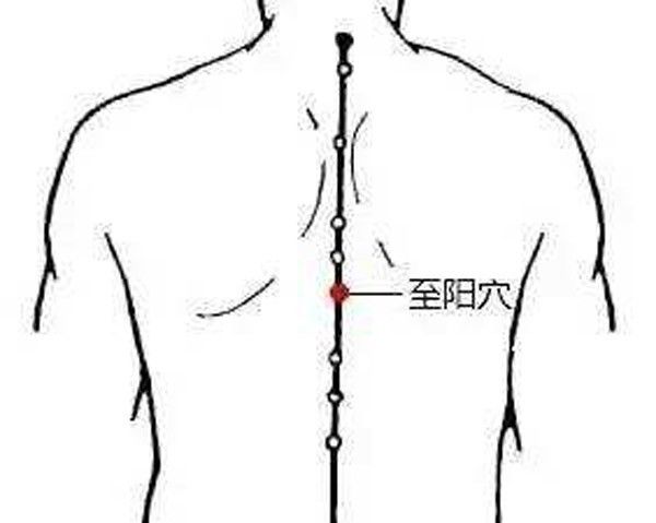 至阳穴位于第七胸椎棘突下凹陷中.