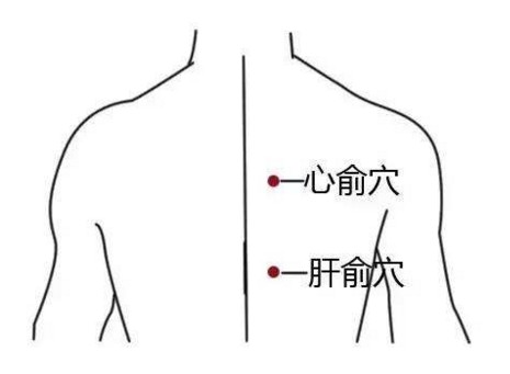 心烦心慌失眠没精力就找心俞来帮忙吧