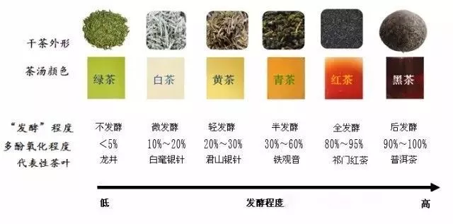 六大茶类的划分基础是在制作中,由茶叶发酵的不同程度决定的.