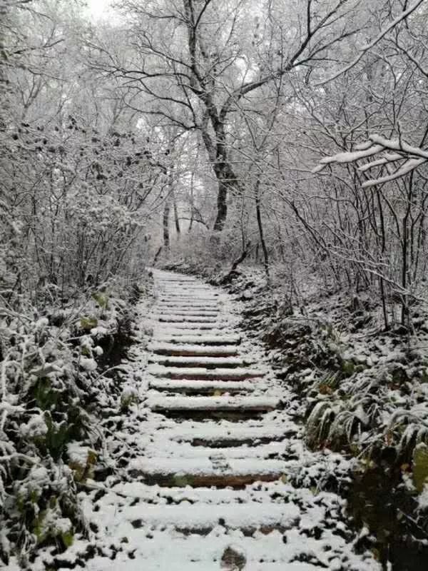 山区下雪了!