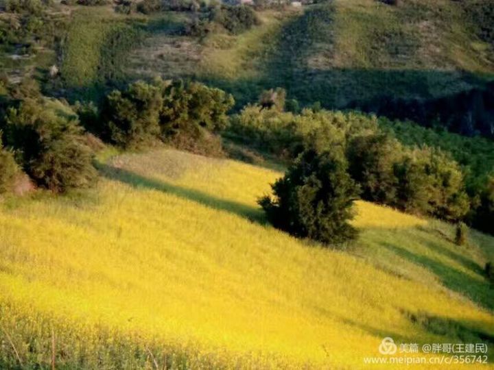 走进艺术家村落一一《木垒县英格堡乡菜籽沟村》