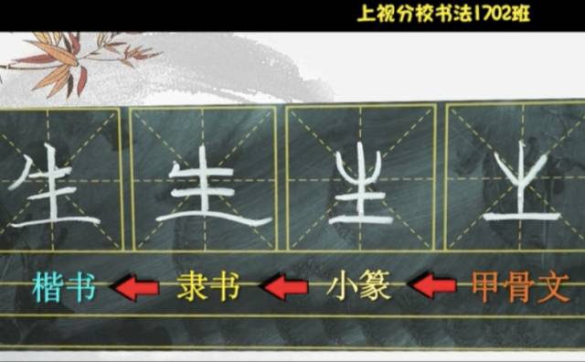 荧星梦工厂丨你知道生和牛这两个字是如何从甲骨文变成现代文字的吗