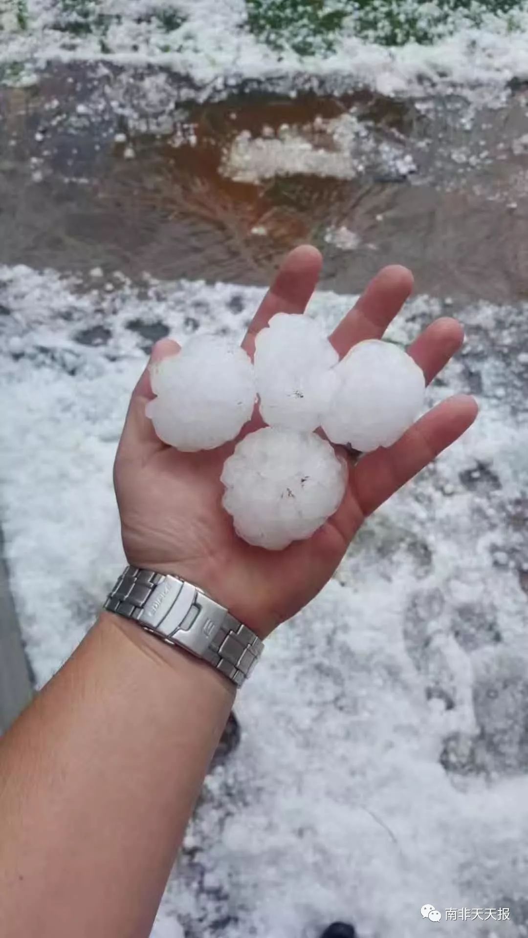 网球大小的冰雹从空中砸下来,好可怕啊!