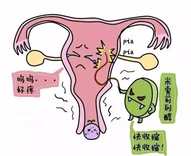 必读一组漫画告诉你药流和人流的全过程