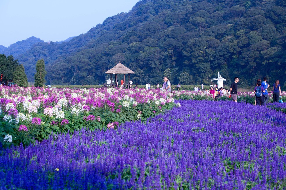 广州大巴出发从化石门公园七彩天池花海盛宴陶醉于花海之中1日游