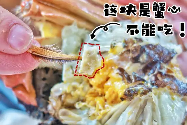 除了品尝蟹黄的美味,吃螃蟹也讲究小技巧噢!有4个地方不能吃!