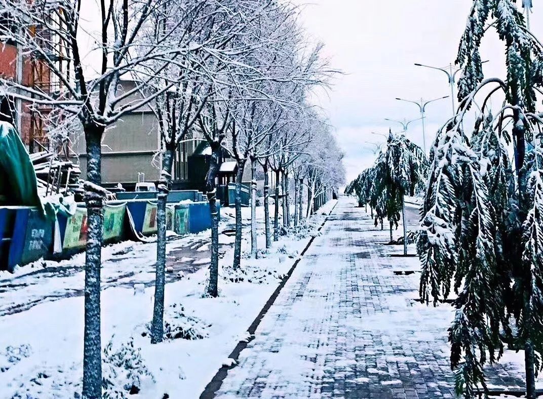 冷风里,兰州继续飘雪