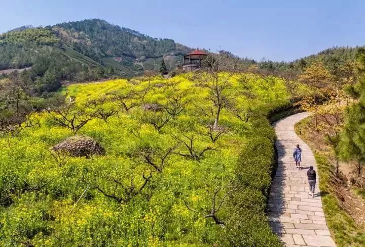 长兴·城山沟