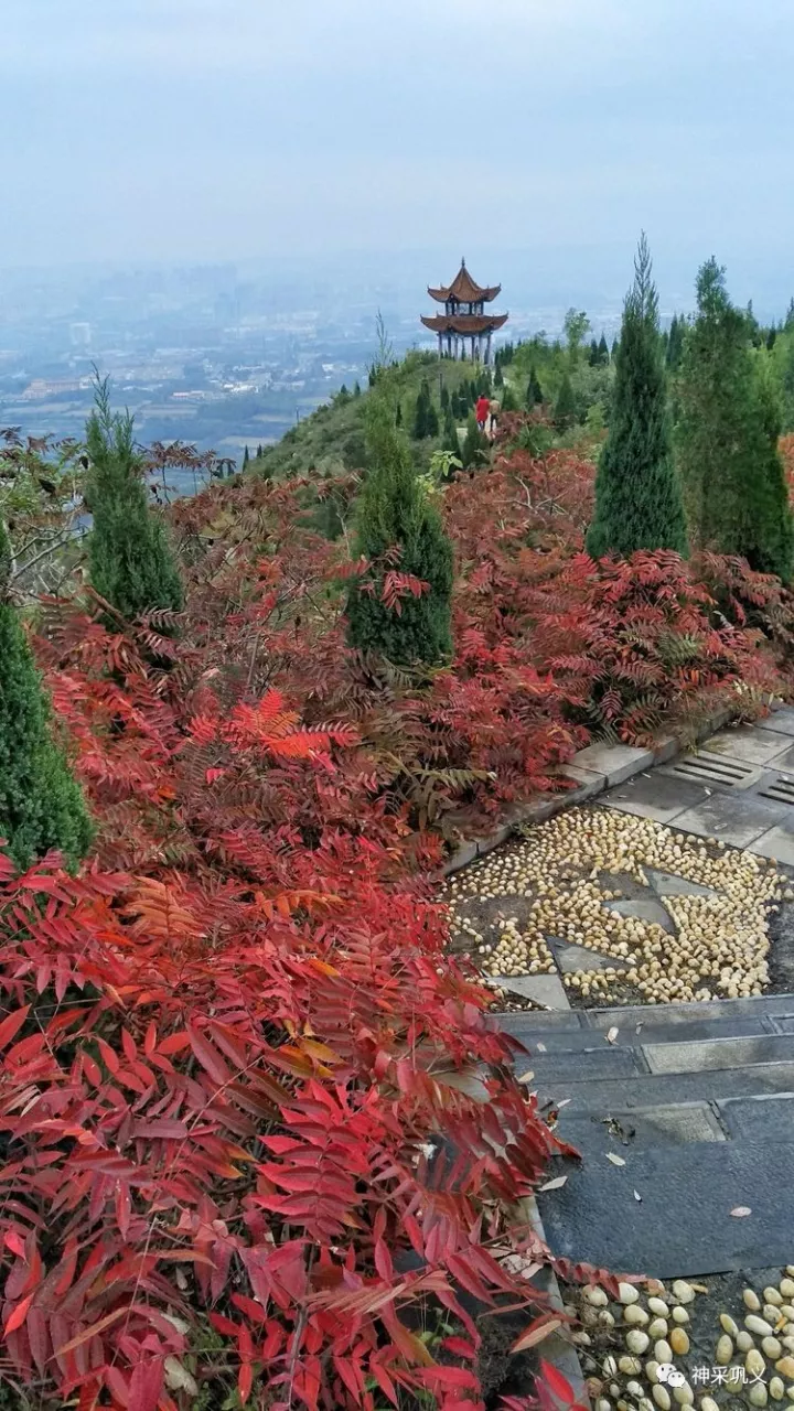 醉美金秋--巩义青龙山