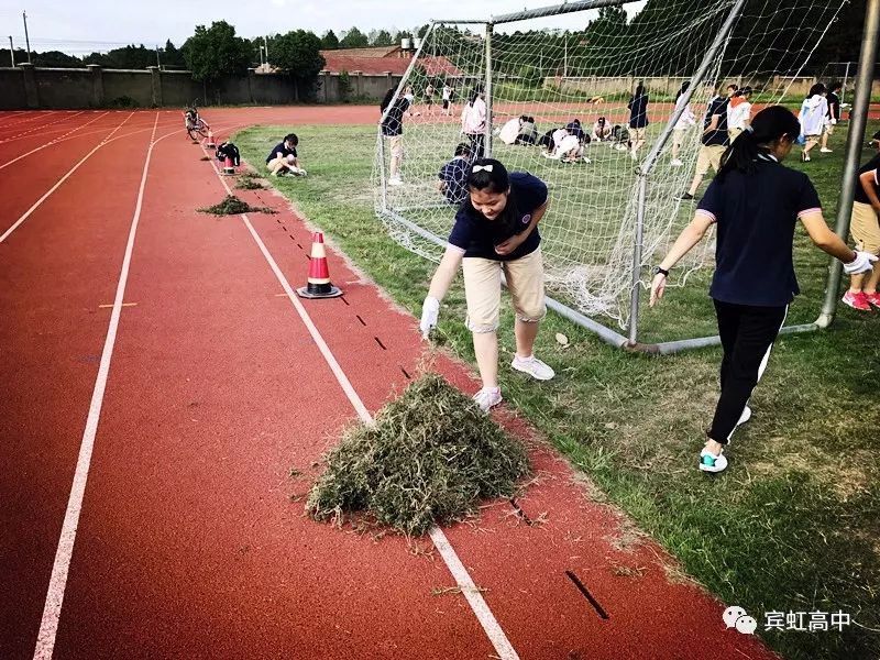 【微宾中·我爱宾虹】高一年级组织开展学生义务拔草活动