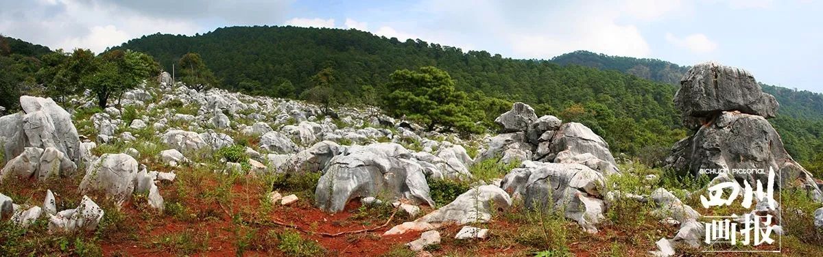 大黑山小石林(李学智 摄)