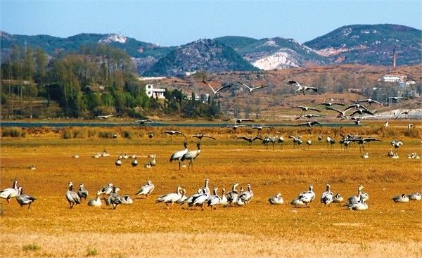 威宁县城区人口_数据看威宁 全县34乡镇人口 土地 工业 基本统计看这里(3)