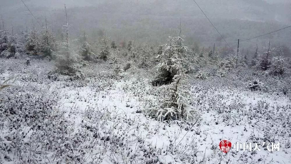 这些地方已经下雪了!今年为何冷得早?