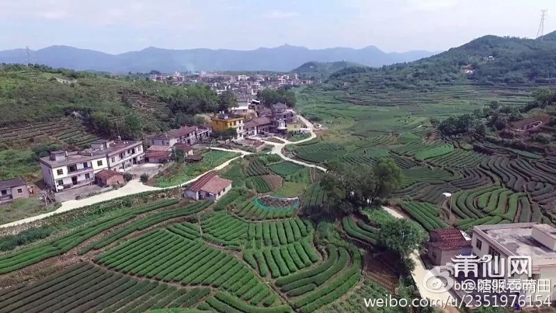 莆田有多少人口_莆田系 假药 假鞋 寺庙,加油站,岂止是上天了