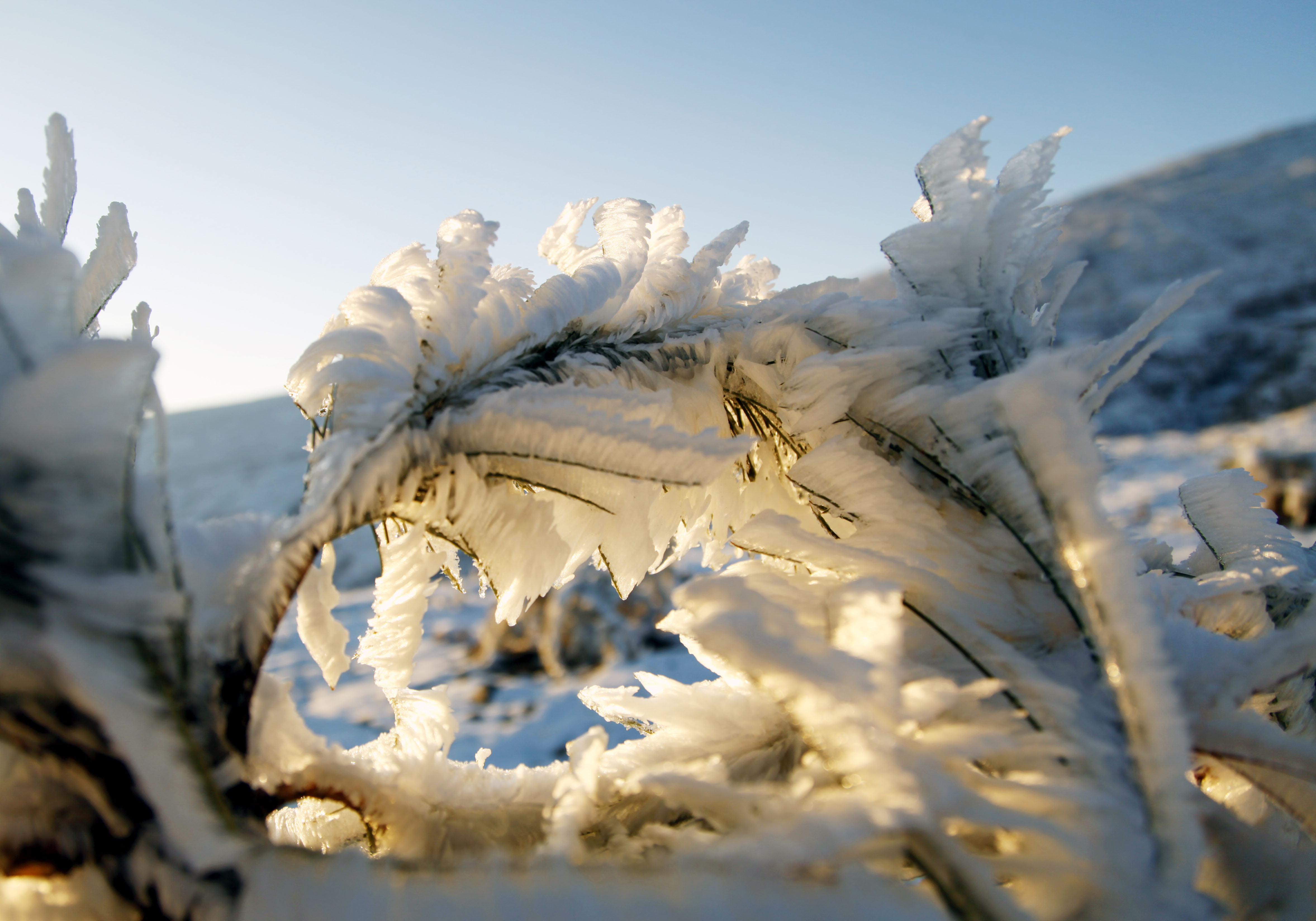 降雪袭来,让我们在深秋的时光里欣赏五台山