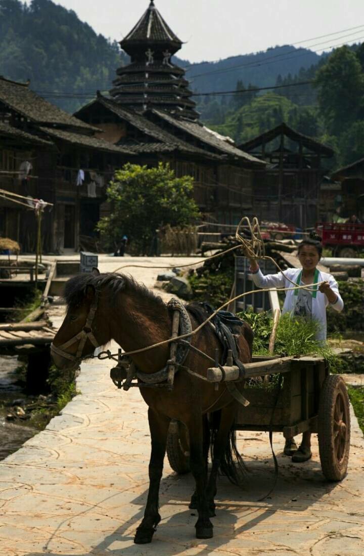 黔东南州黎平县双江乡东南部有个黄岗村