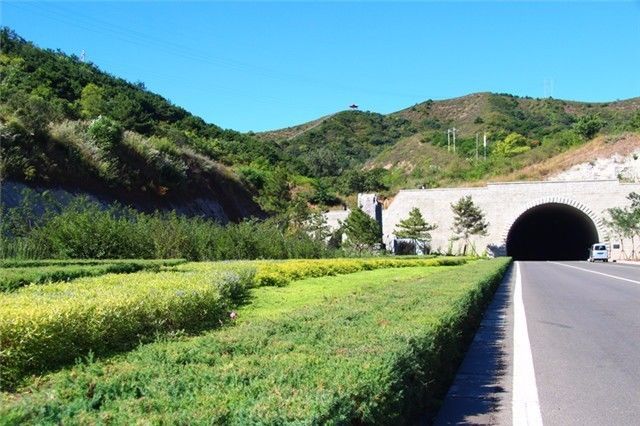 荒山绿化,两园一区建设,经济林产业,生态廊道建设,矿山复绿,强基护绿