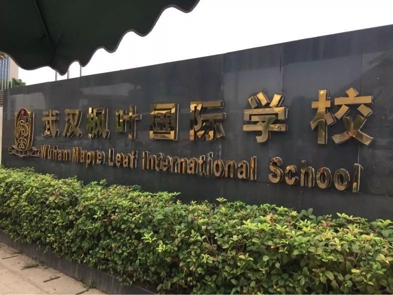 壕一年学费近20万武汉这7所国际学校上榜了