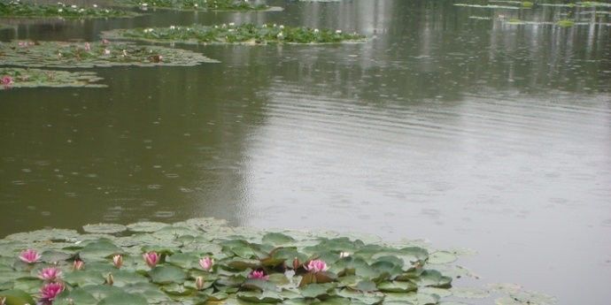 聆听《秋雨绵绵》作者:刘华文 朗诵:刘晓春