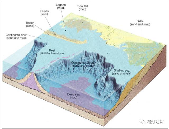 三角洲相 扇三角洲 障壁岛,潮坪,泻湖,河口湾相 海相 重力流沉积 碳酸
