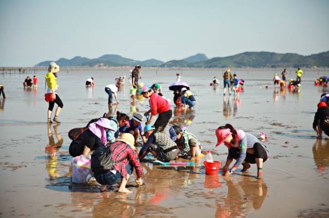 2,自驾车抵达时间详见时间安排表(附下) 滩涂赶海 滩 涂 赶 海 赶海