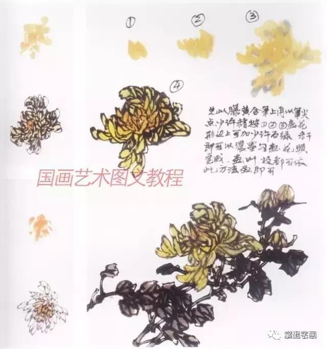 水墨画菊花的画法图文教程,水墨菊花创作技法步骤示范