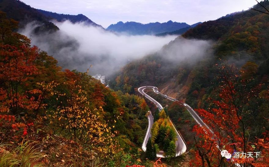 2,团费不含景区观光车:光雾山米仓山景区观光车60元/人,必须消费; 3