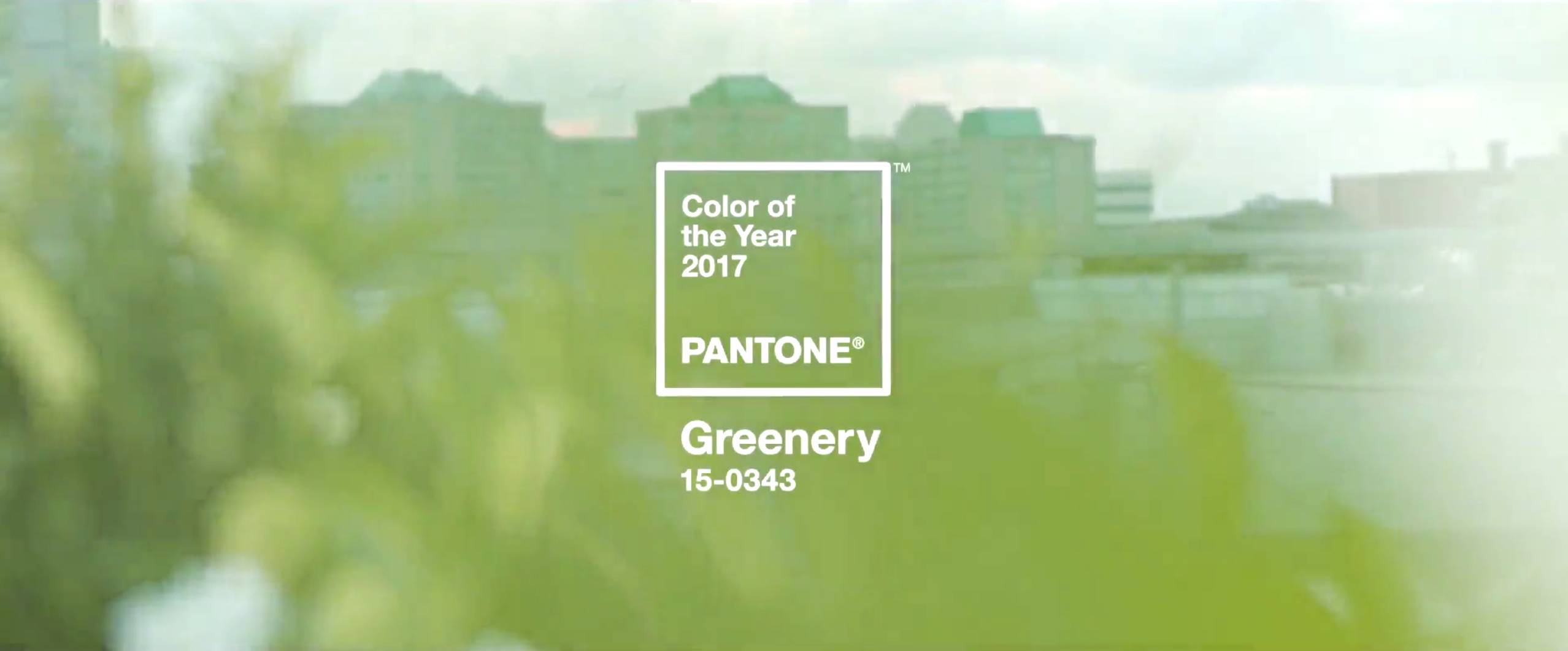 草绿色pantone 官网推出的主题色是2017年