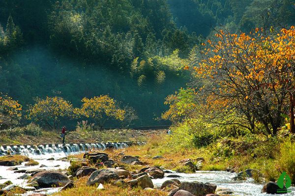 龙川县人口广东梅州属于哪个地区_广东龙川县张伟强图片